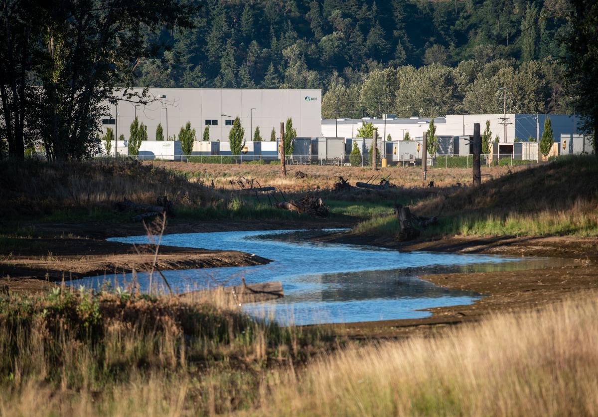 View of Lower Wapato Creek habitat site with Prologis warehouse