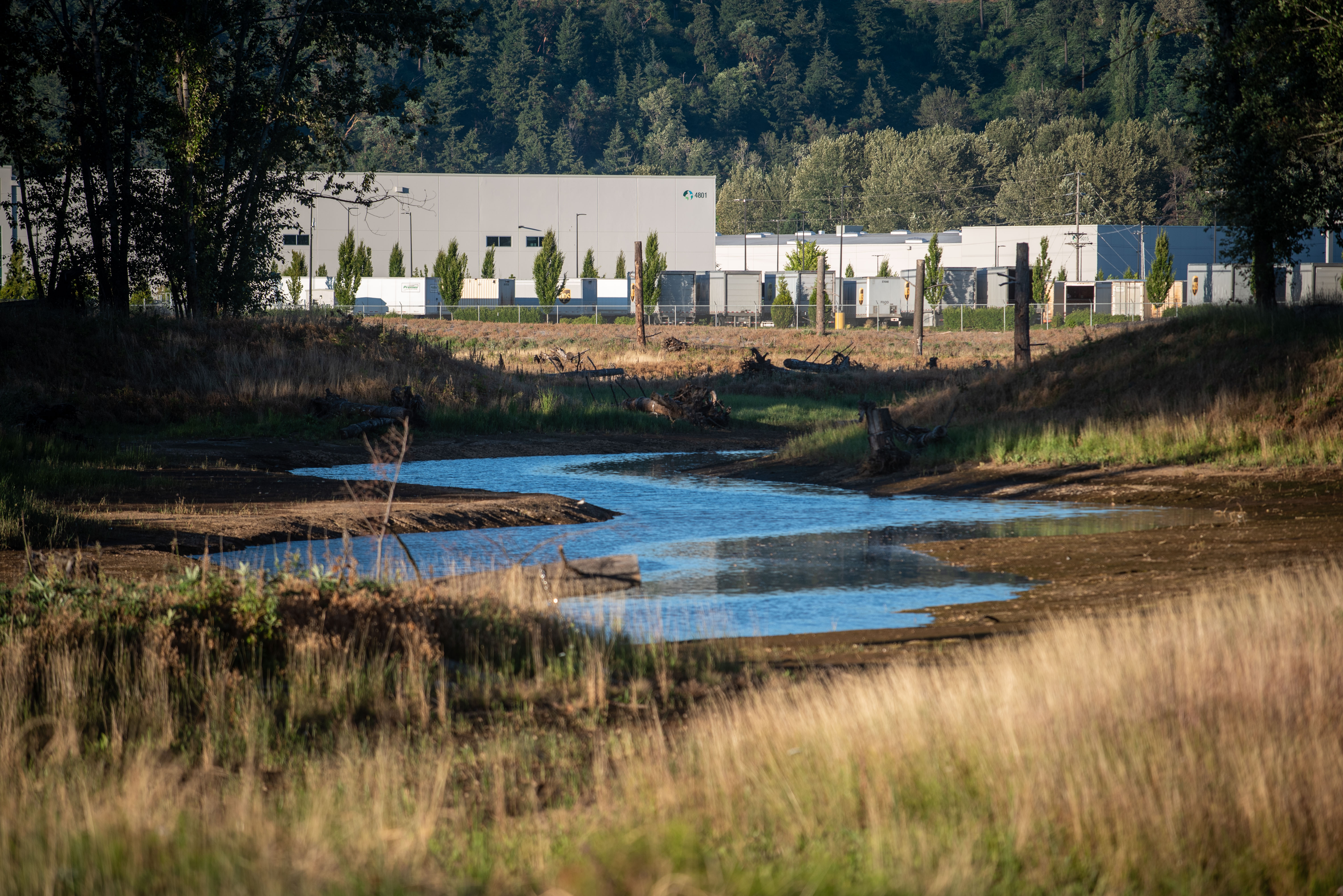 Lower Wapato Creek Habitat Site with warehouse in background