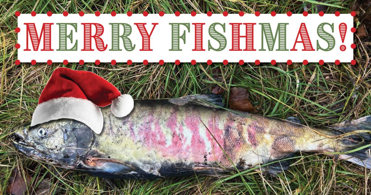 Merry Fish-mas, everybody!